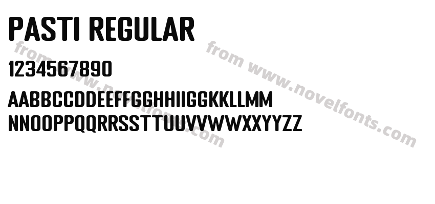 PASTI RegularPreview