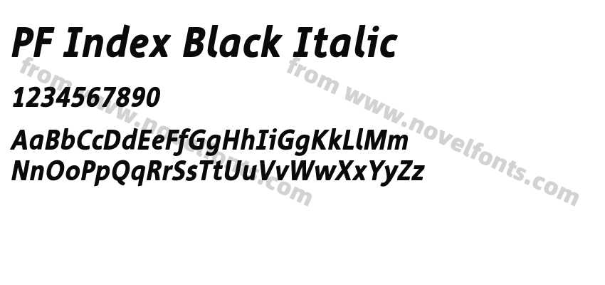 PF Index Black ItalicPreview