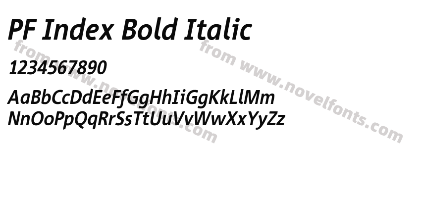 PF Index Bold ItalicPreview