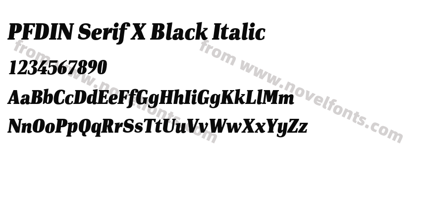 PFDIN Serif X Black ItalicPreview
