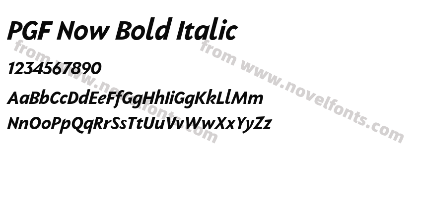 PGF Now Bold ItalicPreview
