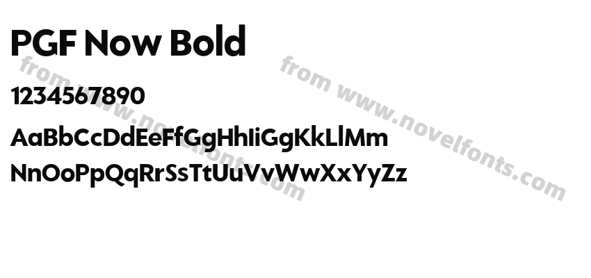 PGF Now BoldPreview