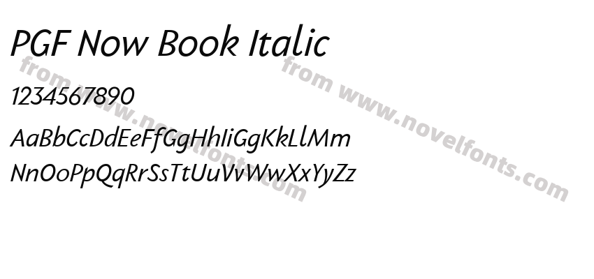 PGF Now Book ItalicPreview