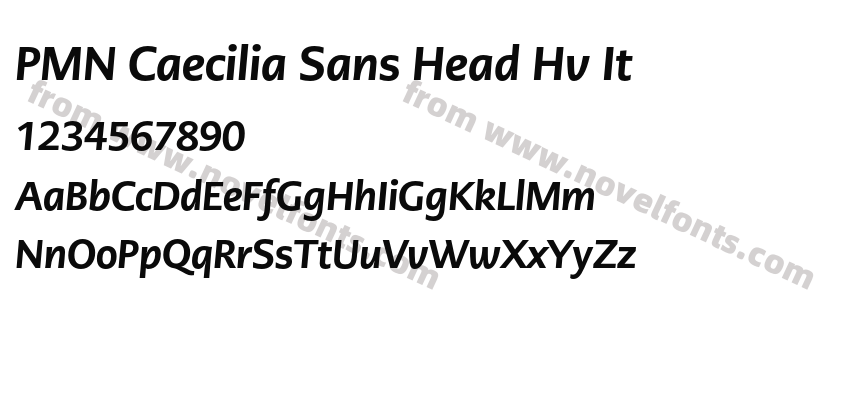 PMN Caecilia Sans Head Hv ItPreview