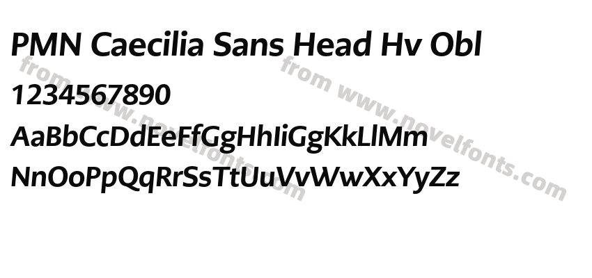 PMN Caecilia Sans Head Hv OblPreview