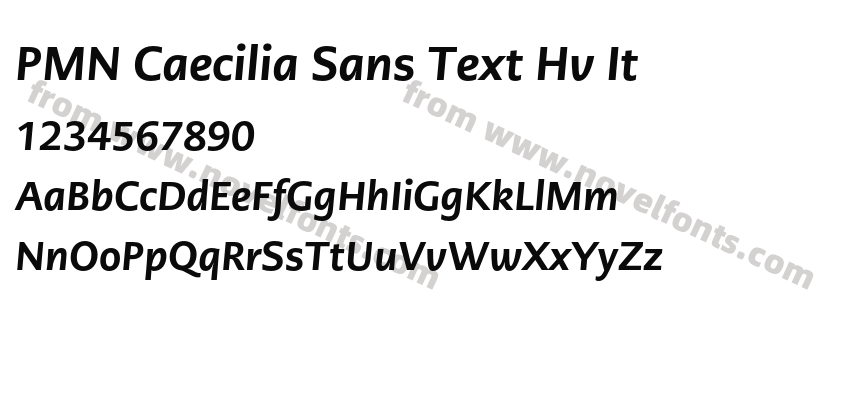 PMN Caecilia Sans Text Hv ItPreview