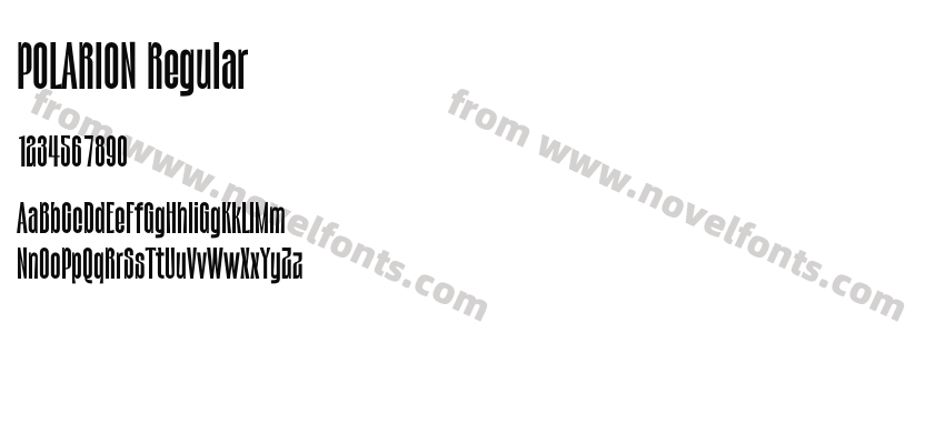 POLARION RegularPreview