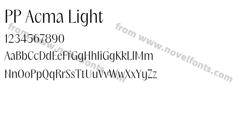 PP Acma LightPreview