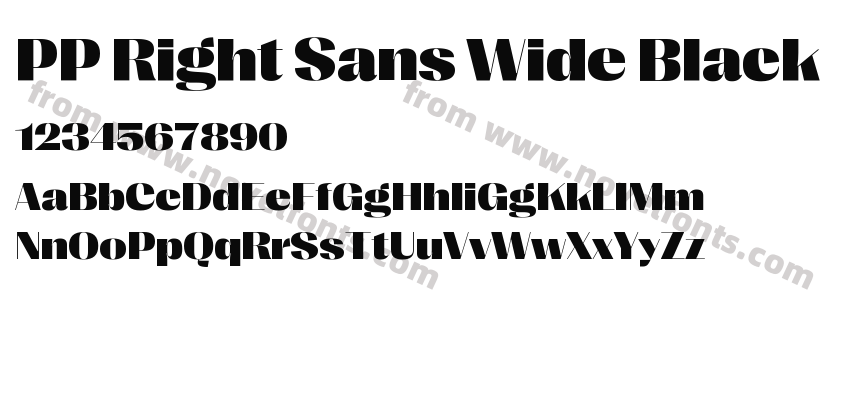PP Right Sans Wide BlackPreview