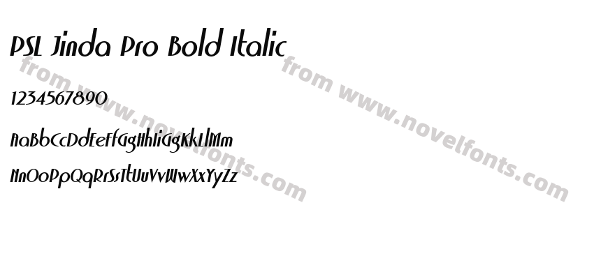 PSL Jinda Pro Bold ItalicPreview