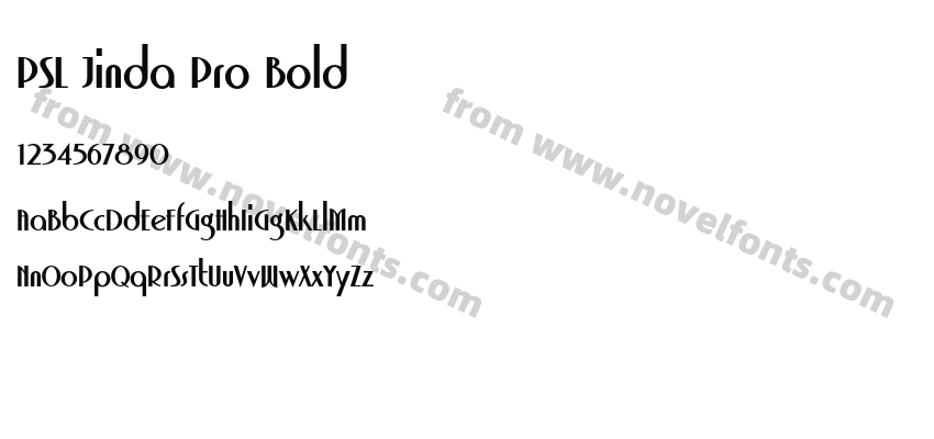 PSL Jinda Pro BoldPreview