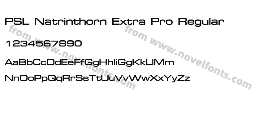 PSL Natrinthorn Extra Pro RegularPreview