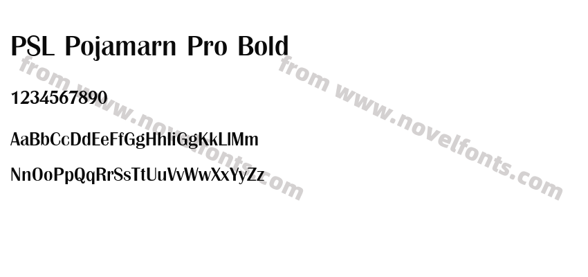 PSL Pojamarn Pro BoldPreview
