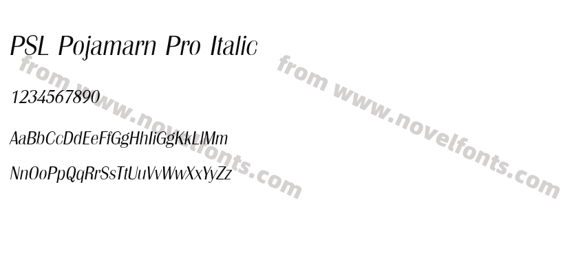 PSL Pojamarn Pro ItalicPreview