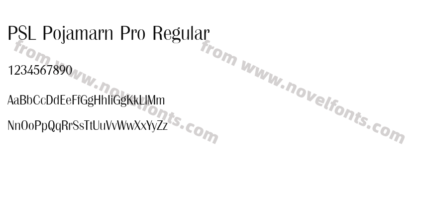 PSL Pojamarn Pro RegularPreview