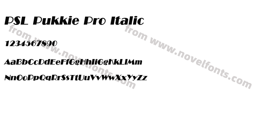 PSL Pukkie Pro ItalicPreview