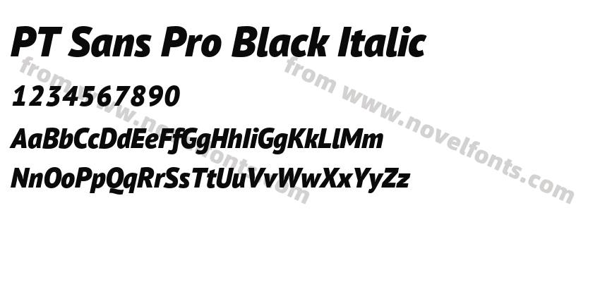 PT Sans Pro Black ItalicPreview