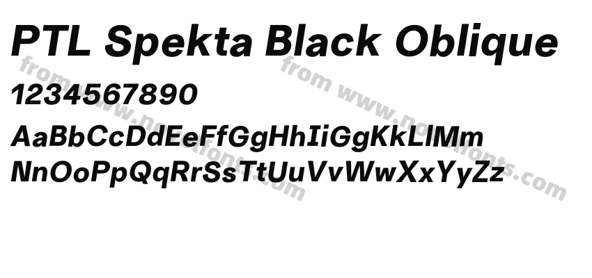 PTL Spekta Black ObliquePreview
