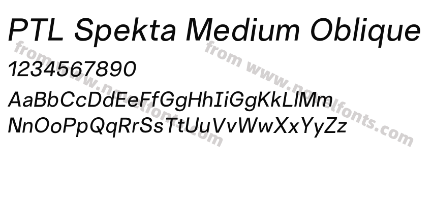PTL Spekta Medium ObliquePreview