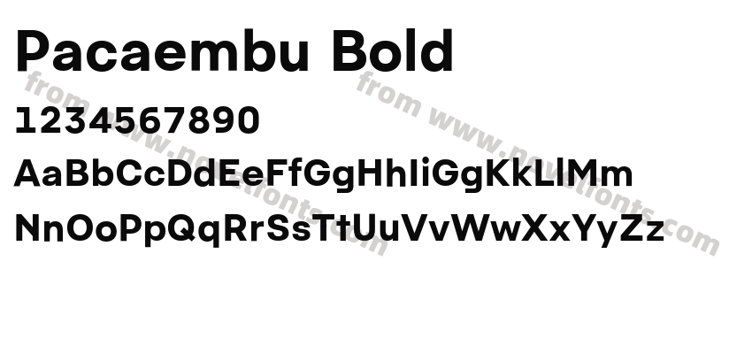 Pacaembu BoldPreview