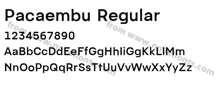 Pacaembu RegularPreview