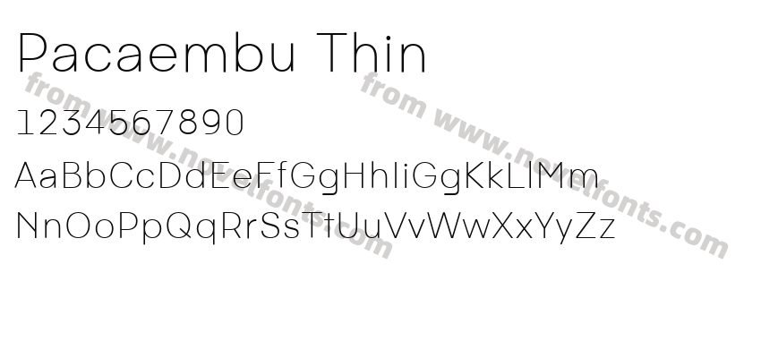 Pacaembu ThinPreview