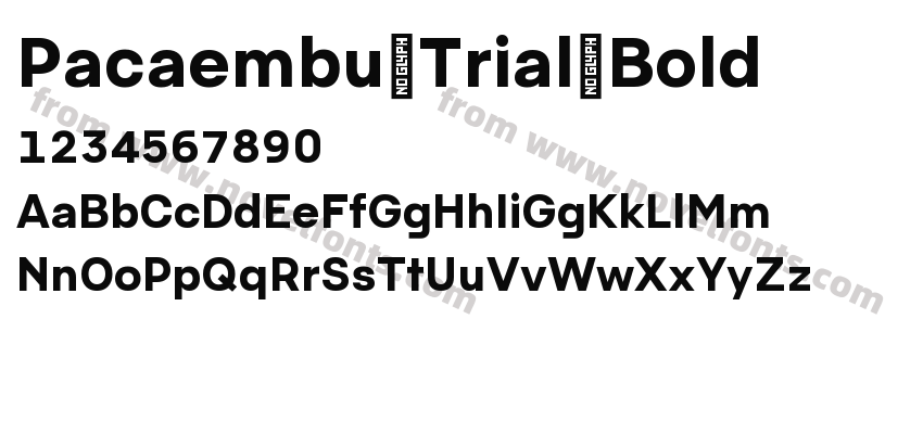 Pacaembu Trial BoldPreview
