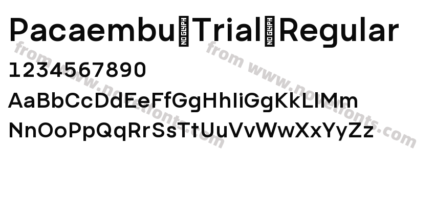Pacaembu Trial RegularPreview