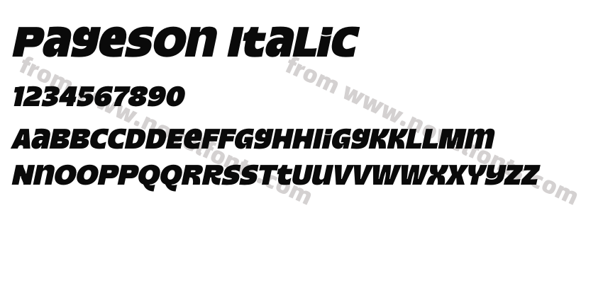 Pageson ItalicPreview