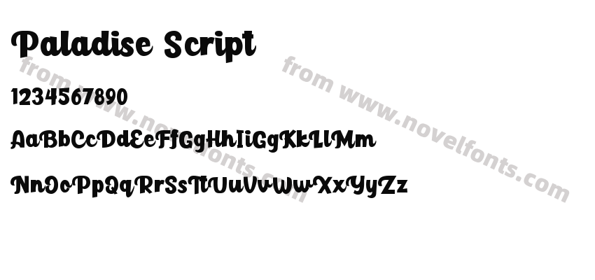 Paladise ScriptPreview