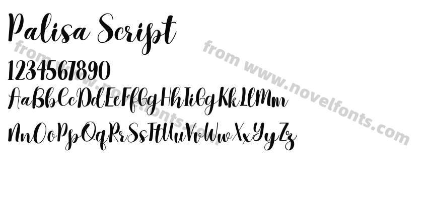 Palisa ScriptPreview