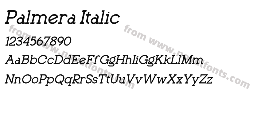 Palmera ItalicPreview