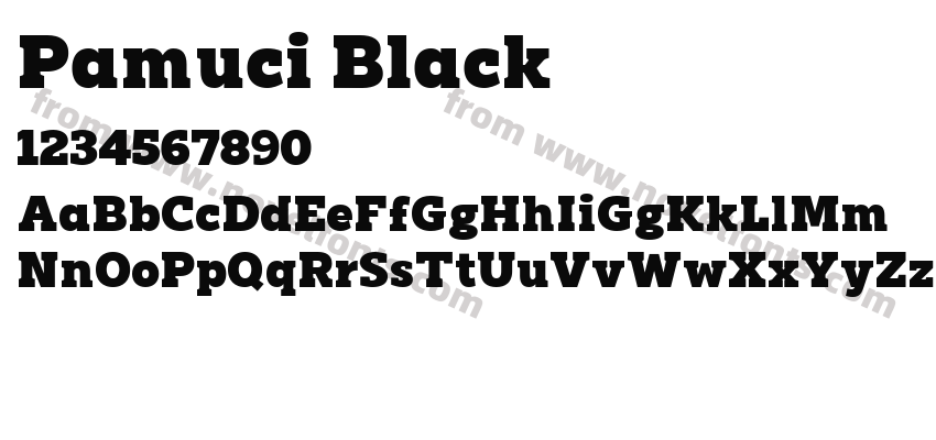 Pamuci BlackPreview