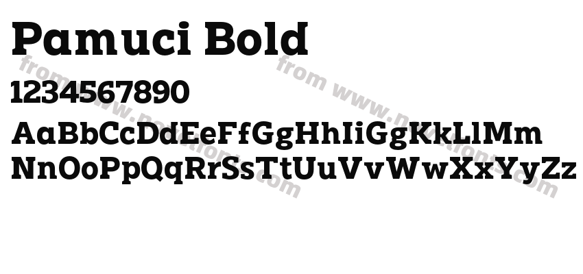 Pamuci BoldPreview