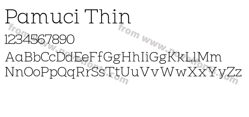 Pamuci ThinPreview