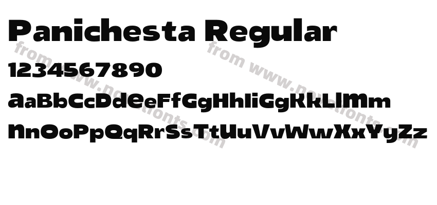 Panichesta RegularPreview