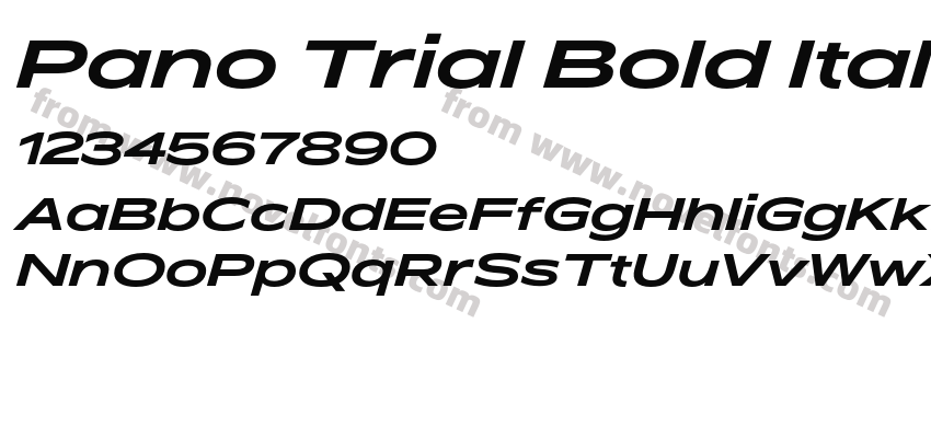 Pano Trial Bold ItalicPreview