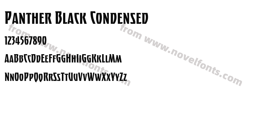 Panther Black CondensedPreview