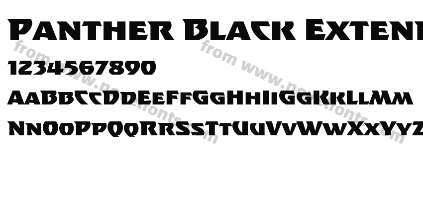 Panther Black ExtendedPreview
