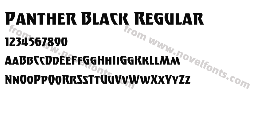 Panther Black RegularPreview