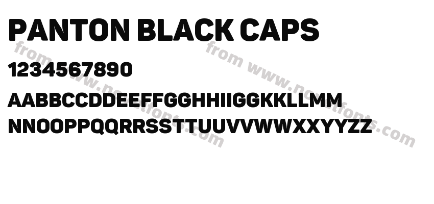 Panton Black CapsPreview