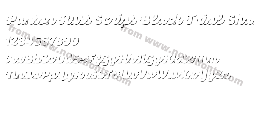 Panton Rust Script Black Trial ShadowPreview