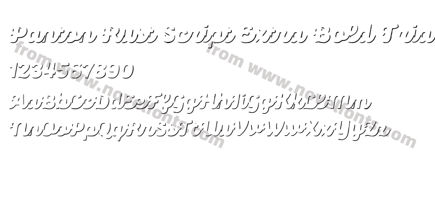 Panton Rust Script Extra Bold Trial ShadowPreview