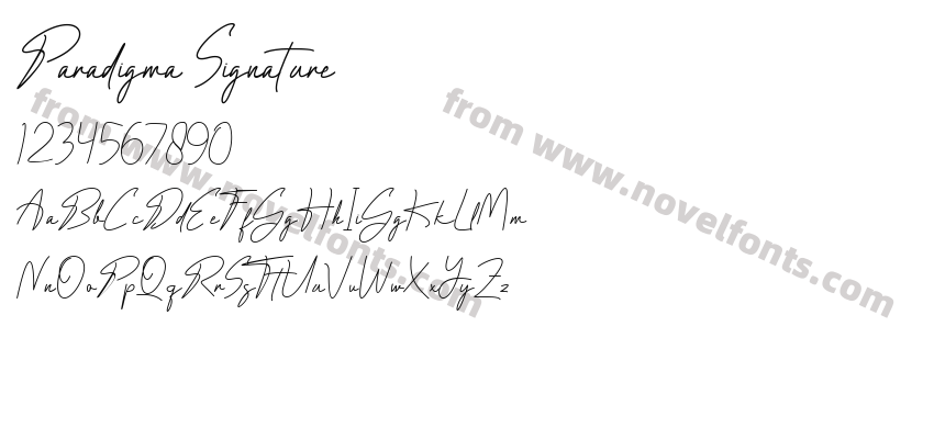 Paradigma SignaturePreview