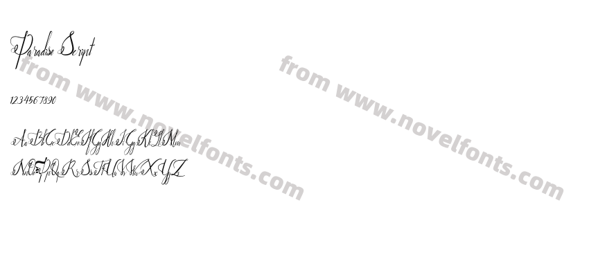 Paradise ScriptPreview