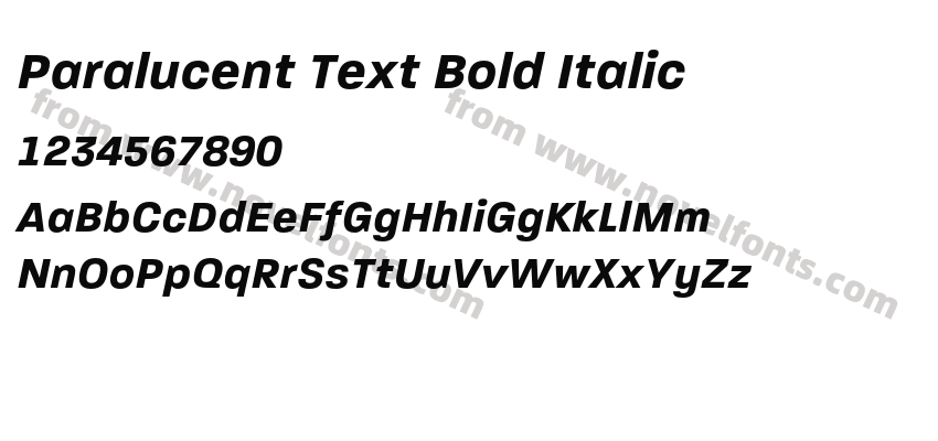 Paralucent Text Bold ItalicPreview