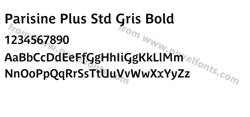 Parisine Plus Std Gris BoldPreview
