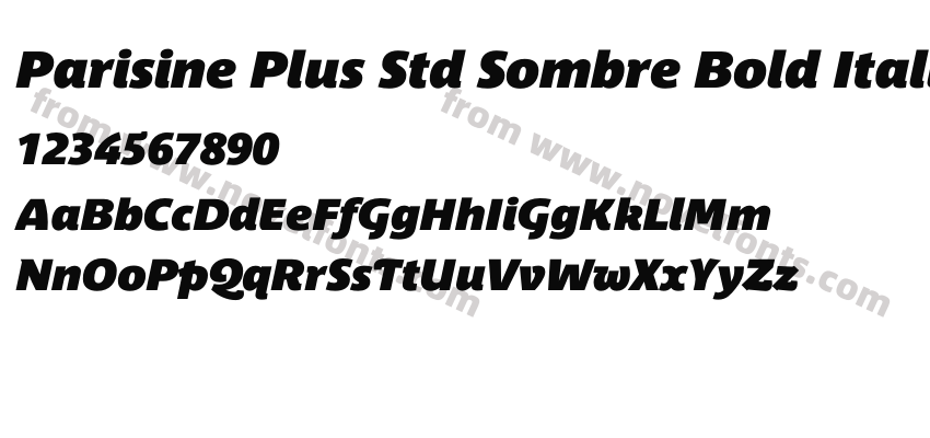 Parisine Plus Std Sombre Bold ItalicPreview