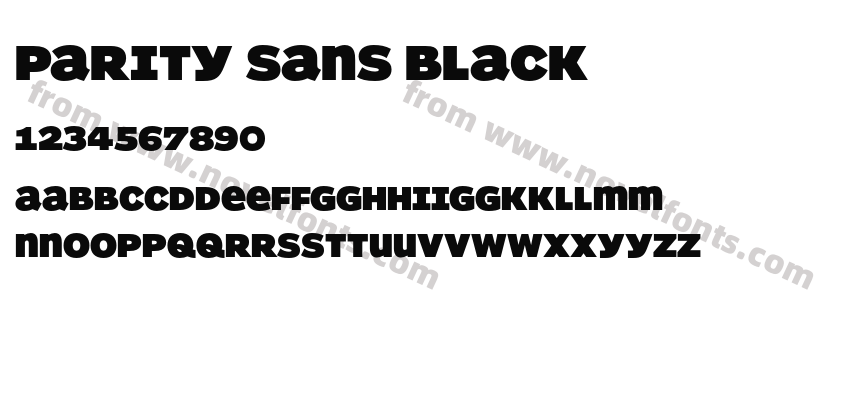 Parity Sans BlackPreview