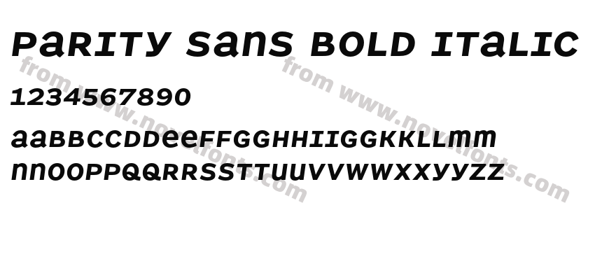 Parity Sans Bold ItalicPreview
